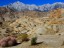 Top Ten Adventures - Mount Whitney