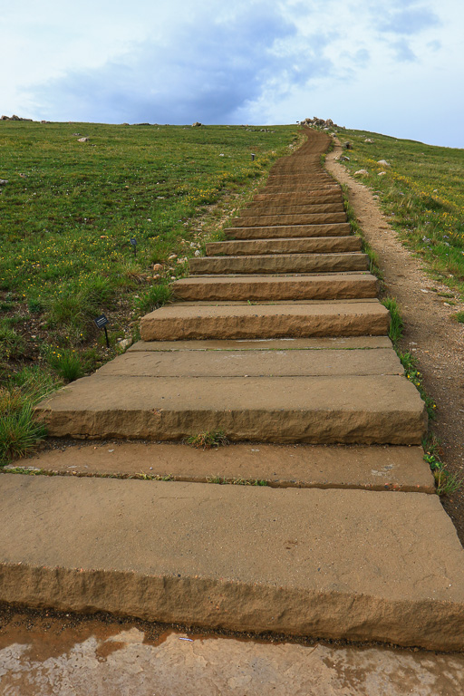 Concrete Steps - Alpine Ridge Trail