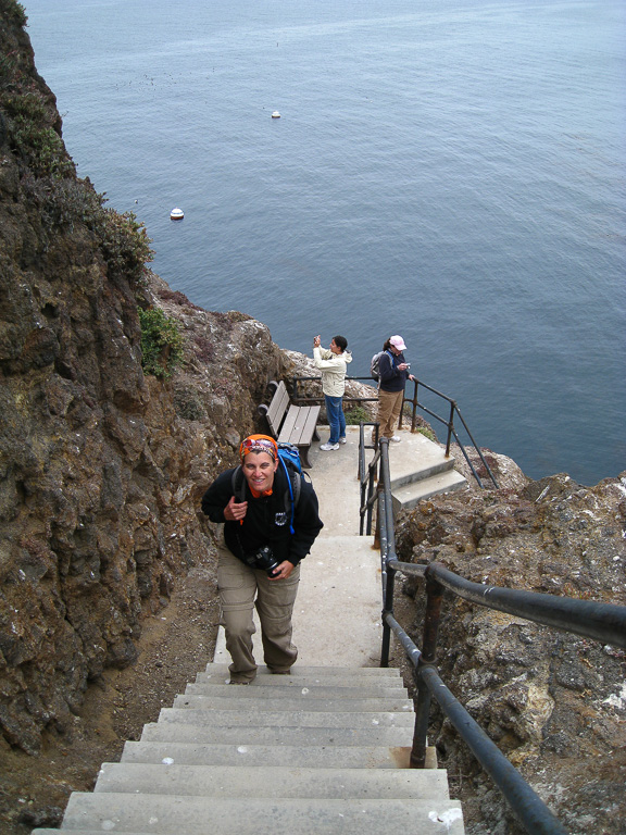Climbing the stairs - Anacapa Loop Trail