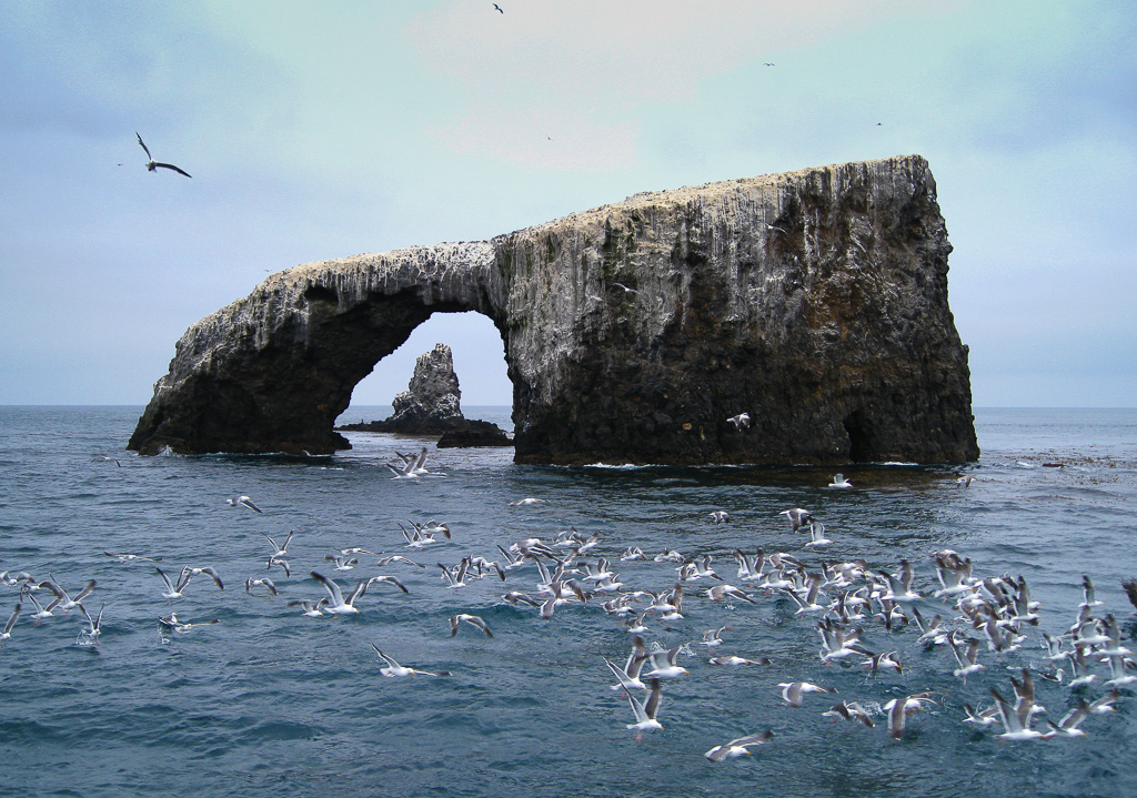 Arch Rock - Anacapa Loop Trail