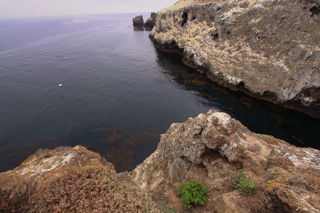 View of the Landing Cove - Anacapa Loop Trail