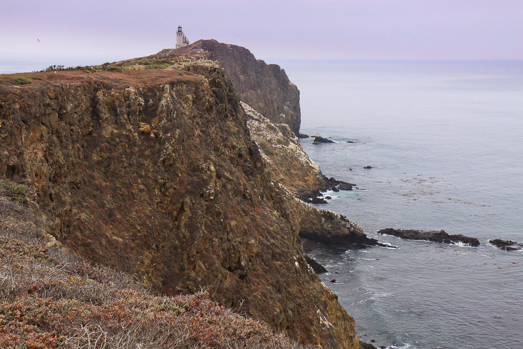 Pinniped Point - Anacapa Loop Trail