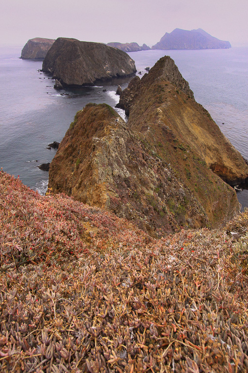 Inspiration Point - Anacapa Loop Trail