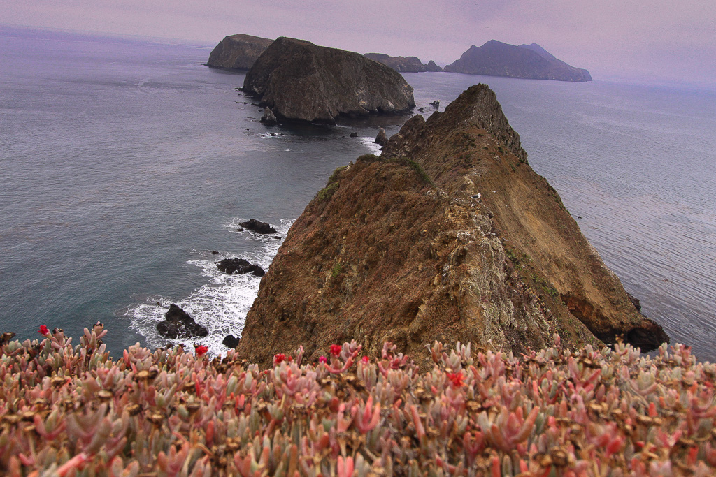 Inspiration Point - Anacapa Loop Trail