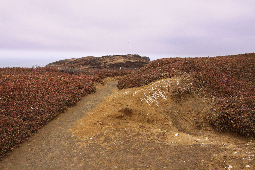 Island Trail - Anacapa Loop Trail