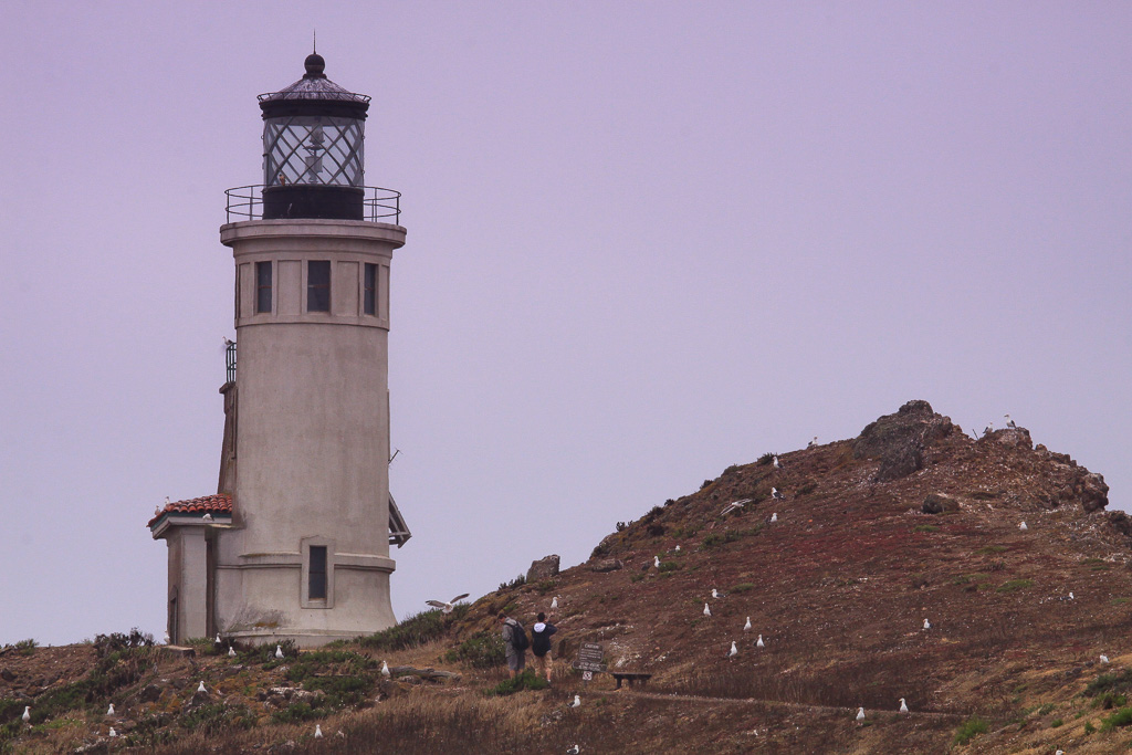 East Anacapa Lighthouse - Anacapa Loop Trail