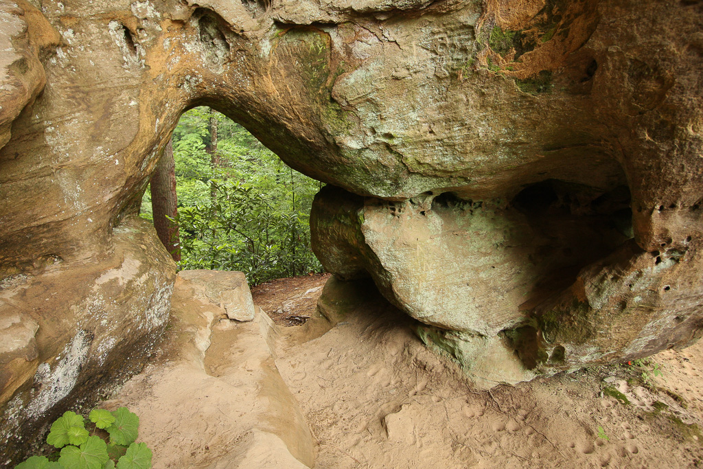 Window view - Angel Windows