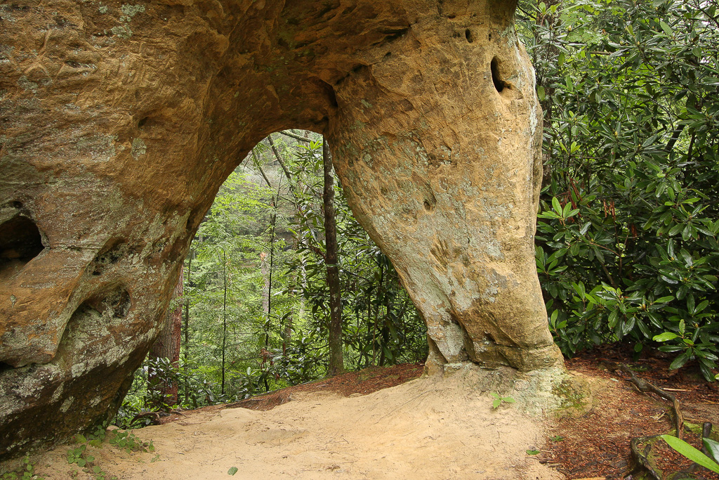 Angel Windows arch - Angel Windows