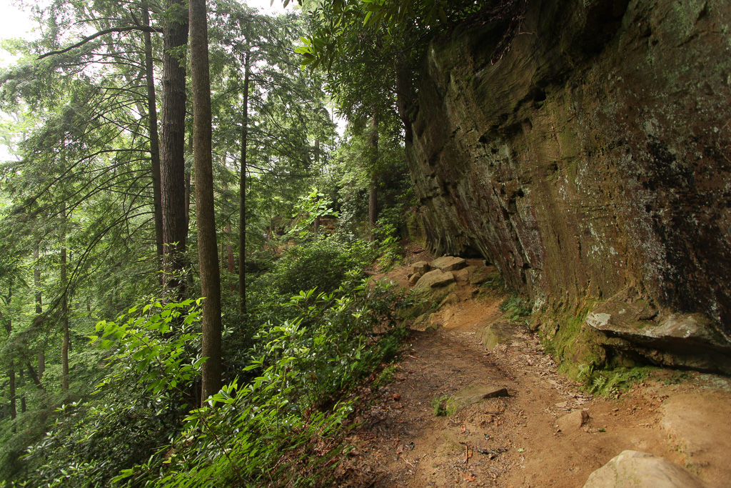 Sandstone cliff - Angel Windows