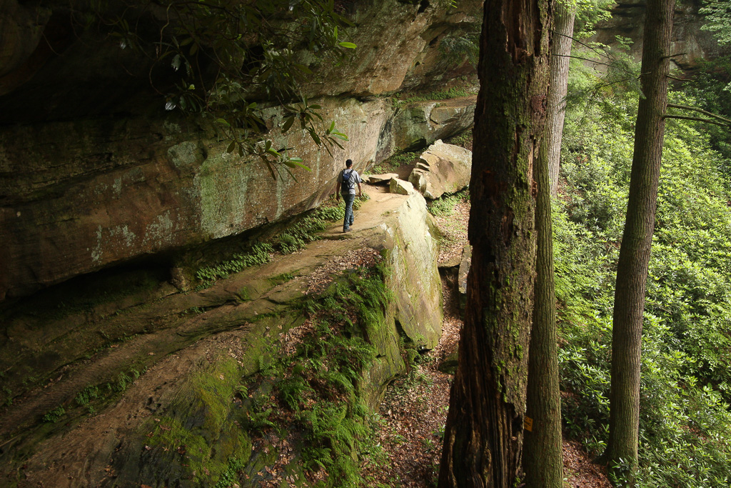 Pathfinder on the ridge - Angel Windows
