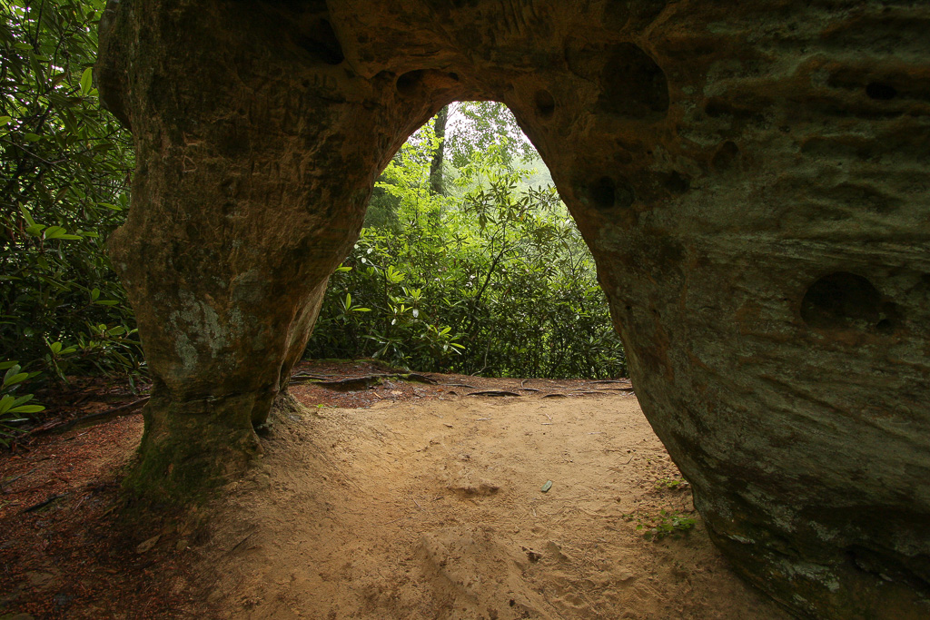 Through the window - Angel Windows