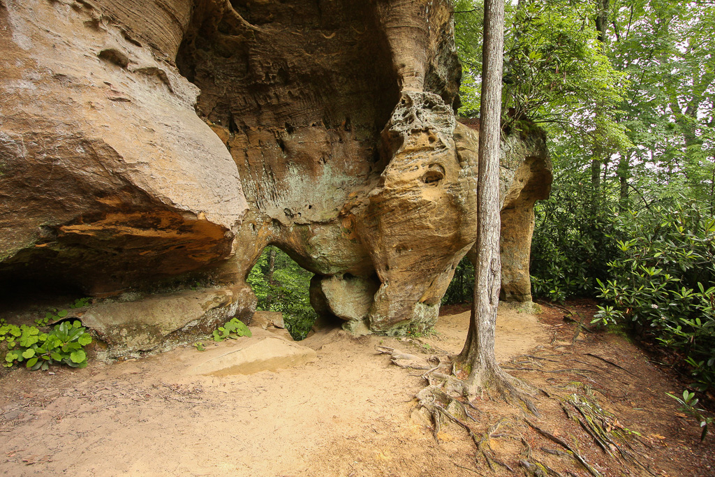 Windows approach - Angel Windows