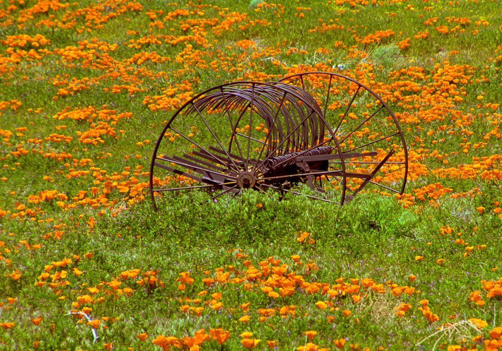 Farm Machinery - Antelope Valley Poppy Reserve 2003