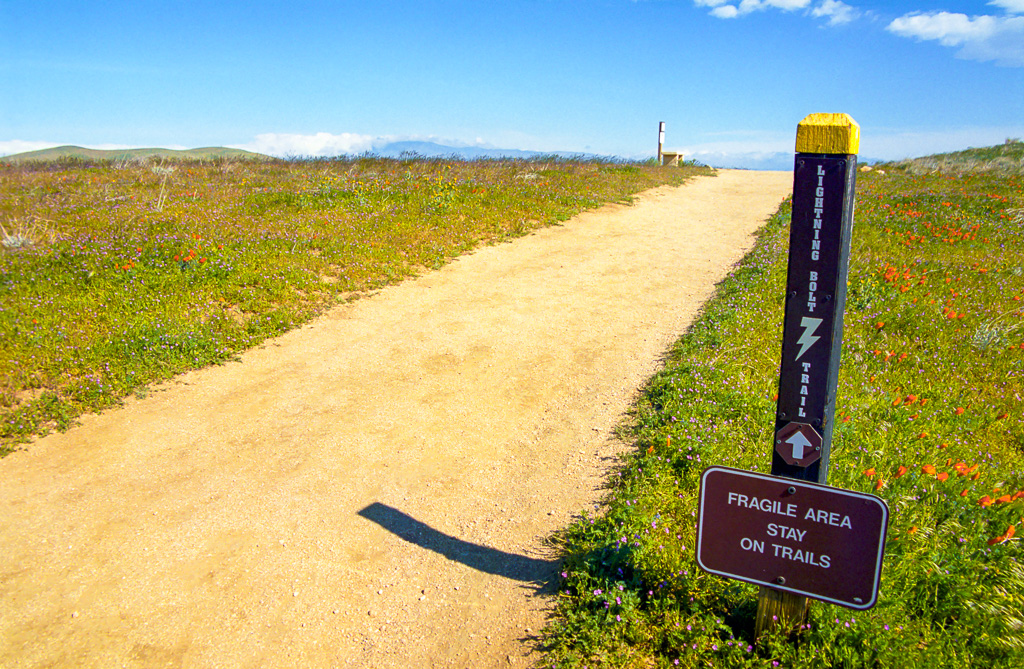 Lightning Bolt Trail - Antelope Valley Poppy Reserve 2003