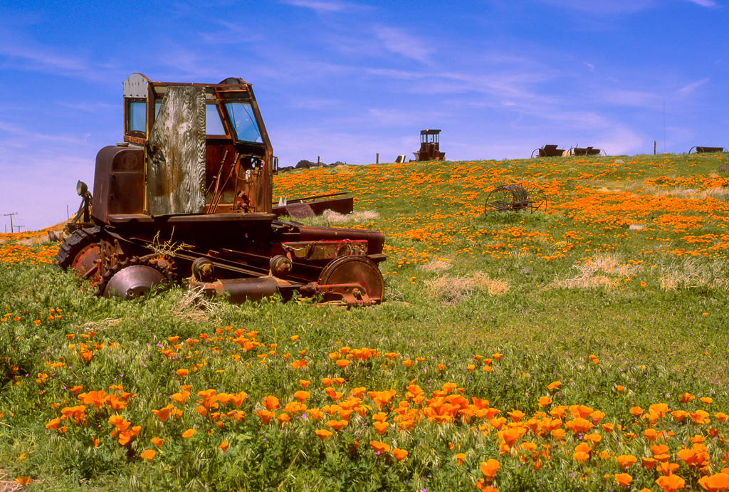 Rusting in the Field - Antelope Valley Poppy Reserve 2003