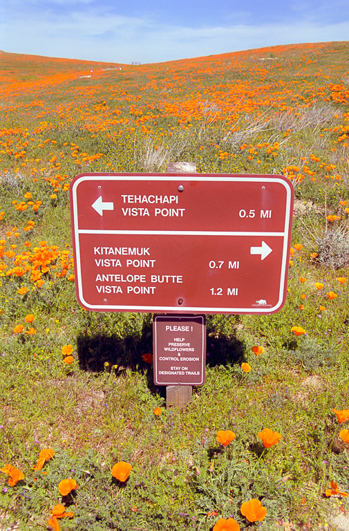 Trail Sign - Antelope Valley Poppy Reserve 2003
