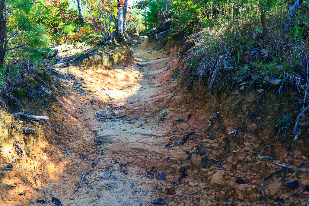 Colorful sandstone - Auxier Ridge Trail