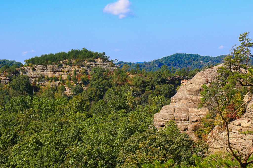 View from the ridge - Auxier Ridge Trail