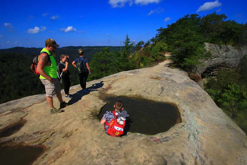 Cam checking out a pothole - Auxier Ridge Trail