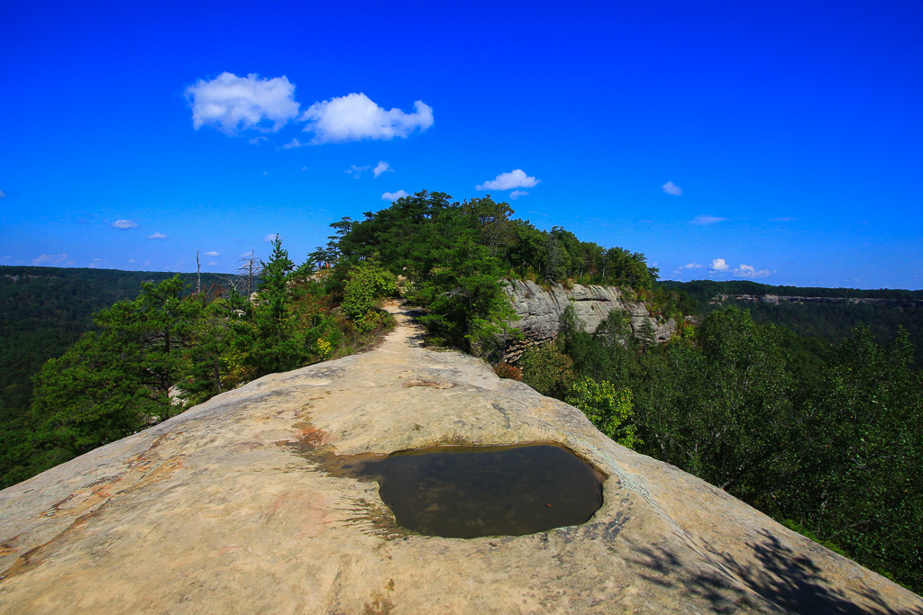 The Ridge - Auxier Ridge Trail