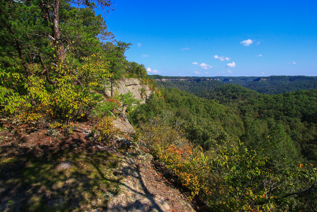 Red River Gorge View - Auxier Ridge Trail