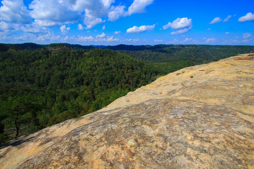 On top of the ridge - Auxier Ridge Trail