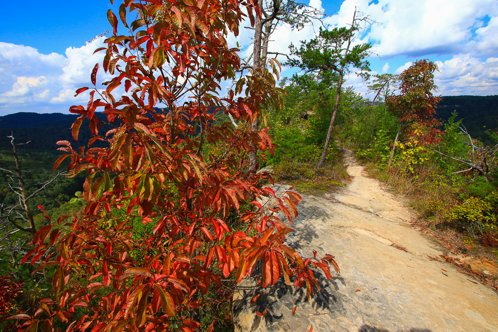 Descending towards Castle Rock - Auxier Ridge Trail