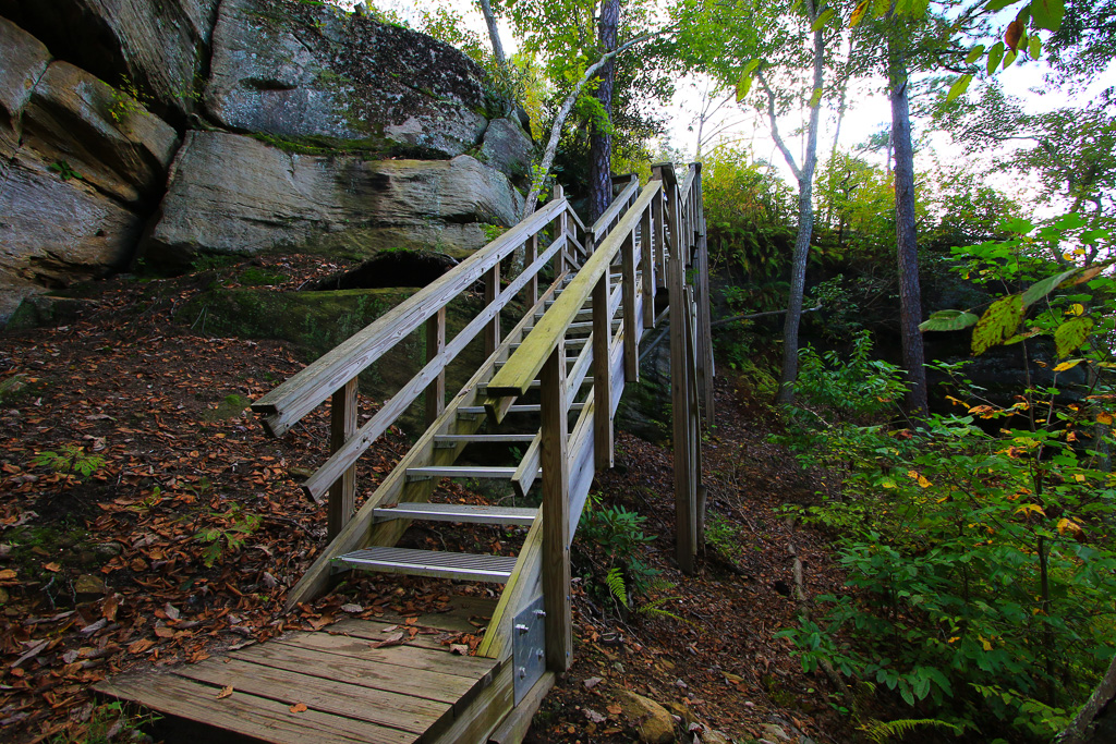 Wooden stairs - Auxier Ridge Trail