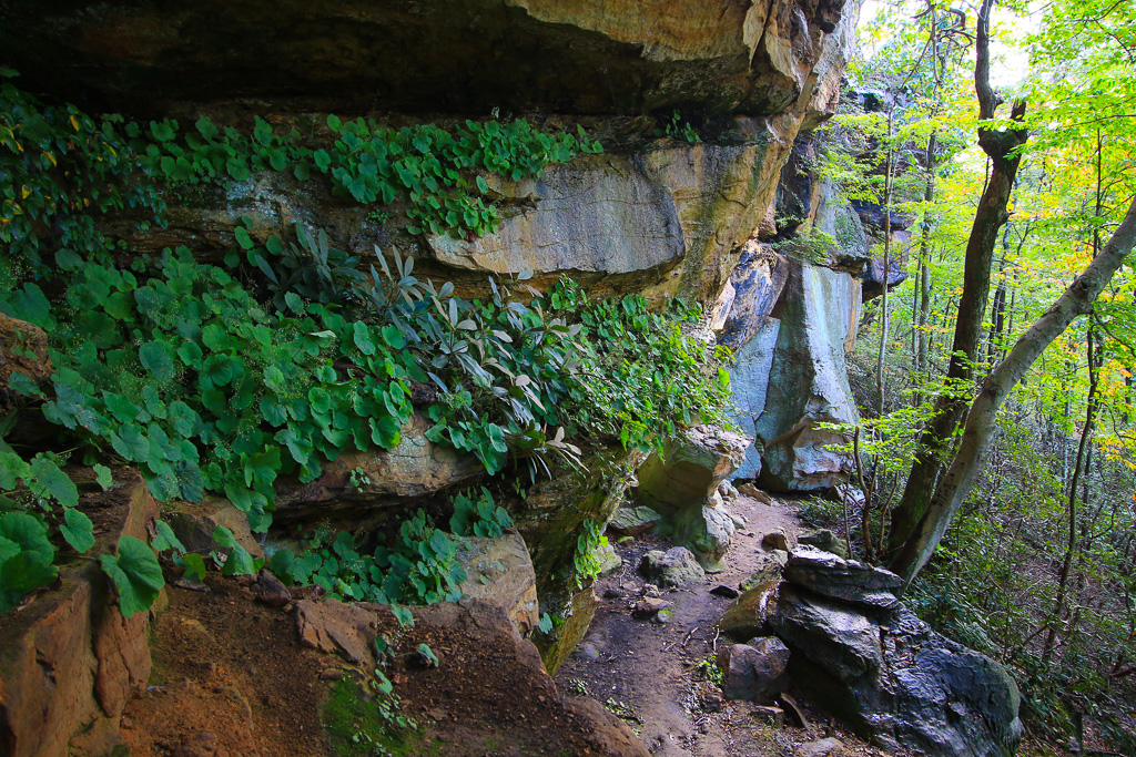 Rock cliffs near Castle rock - Auxier Ridge Trail
