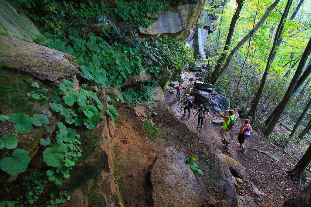 Hikers below the ridge - Auxier Ridge Trail