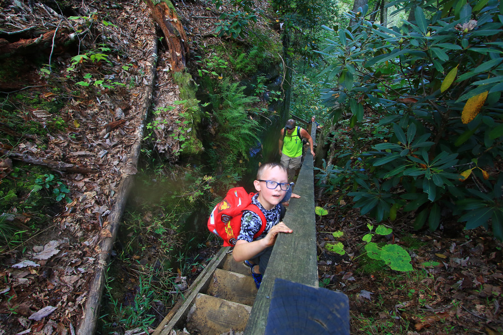 Cam and Tree Hugger - Auxier Ridge Trail