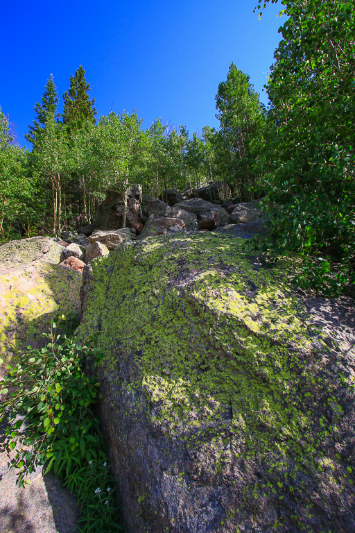 Lichens on boulders - Bear Lake