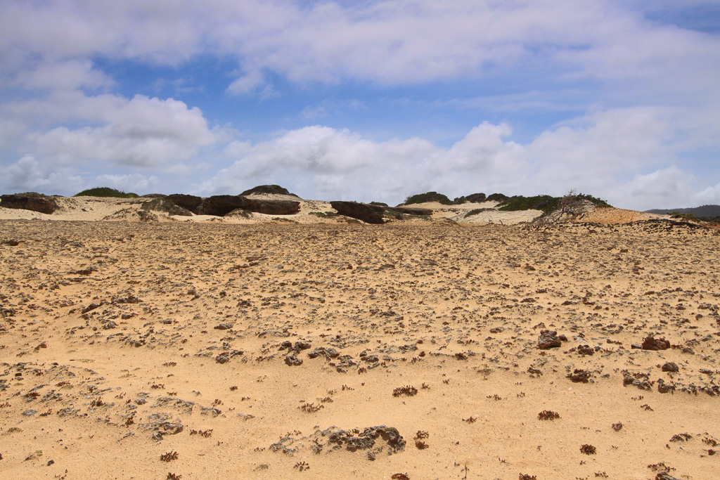 Boca Prins Dunes - Boca Prins