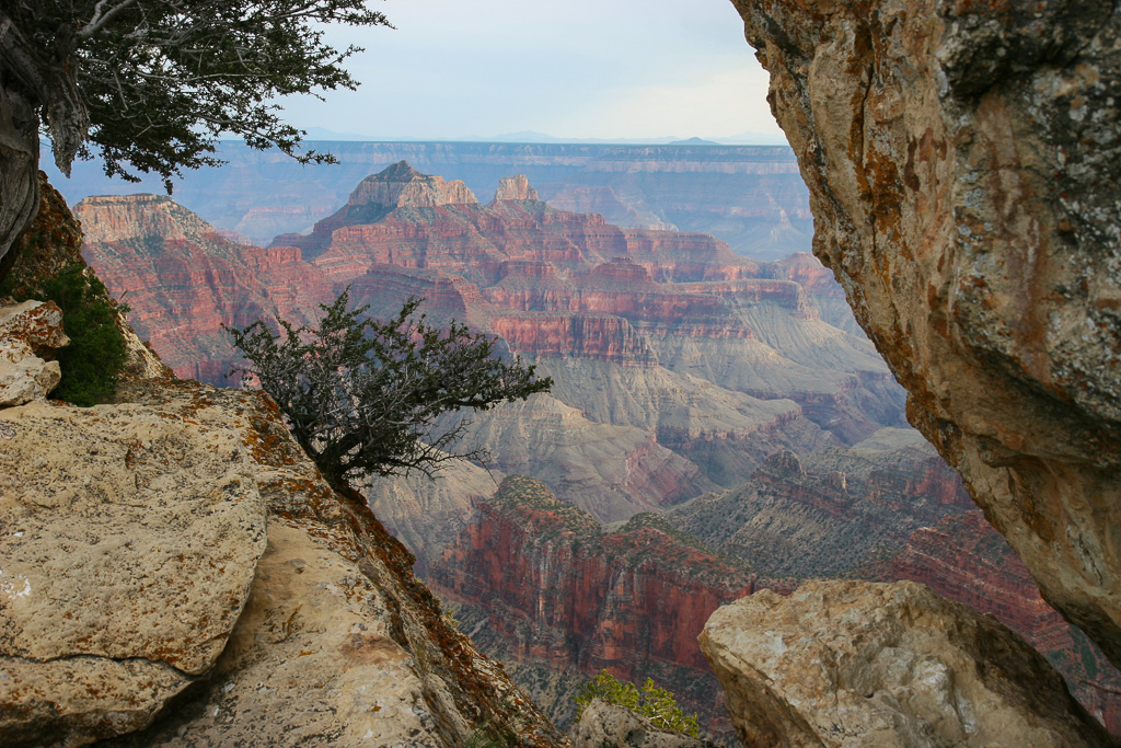 Window on the North Rim - Grand Canyon National Park, Arizona