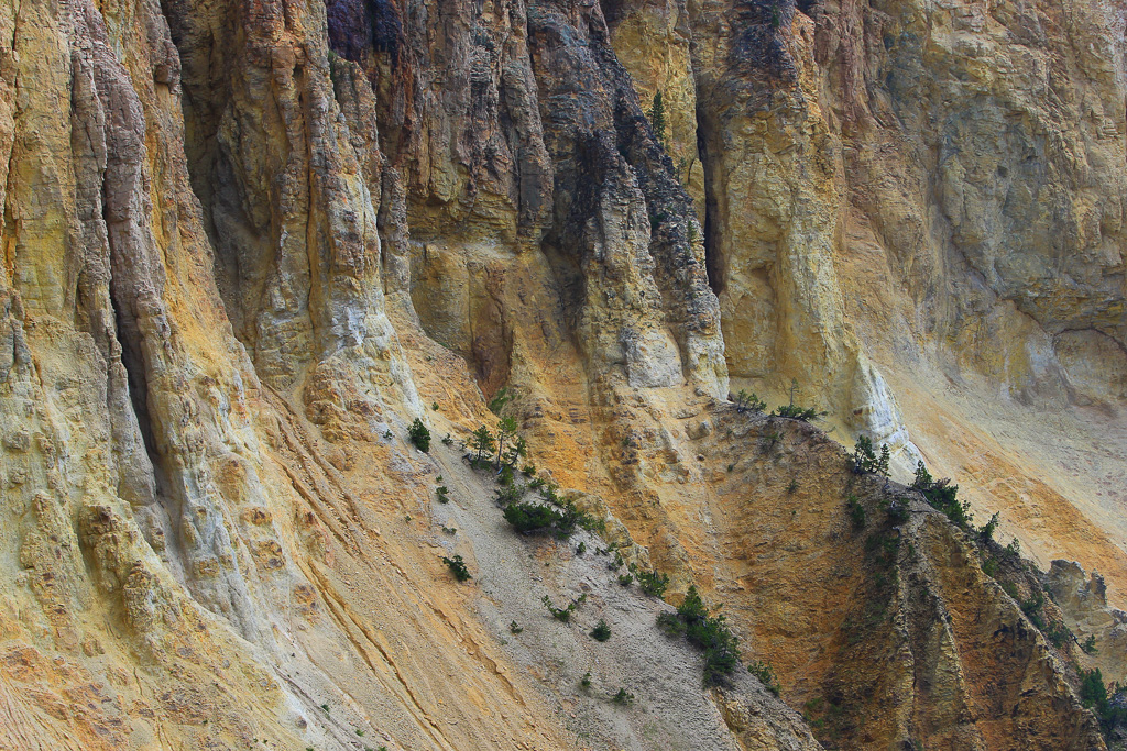 Yellowstone 2021 - Brink of Lower Falls