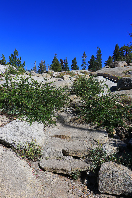 Stone steps - Buena Vista Peak