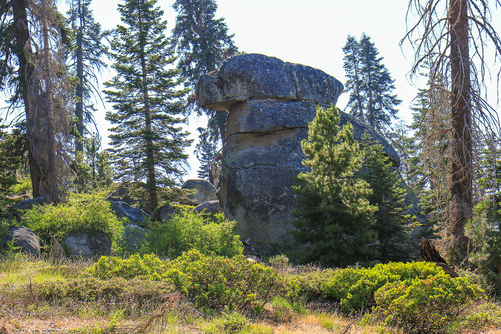 Dog Rock - Buena Vista Peak