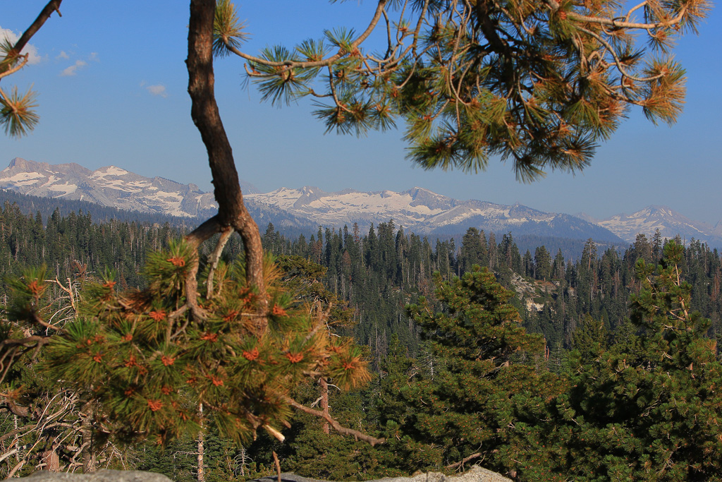 Mountainscape - Buena Vista Peak