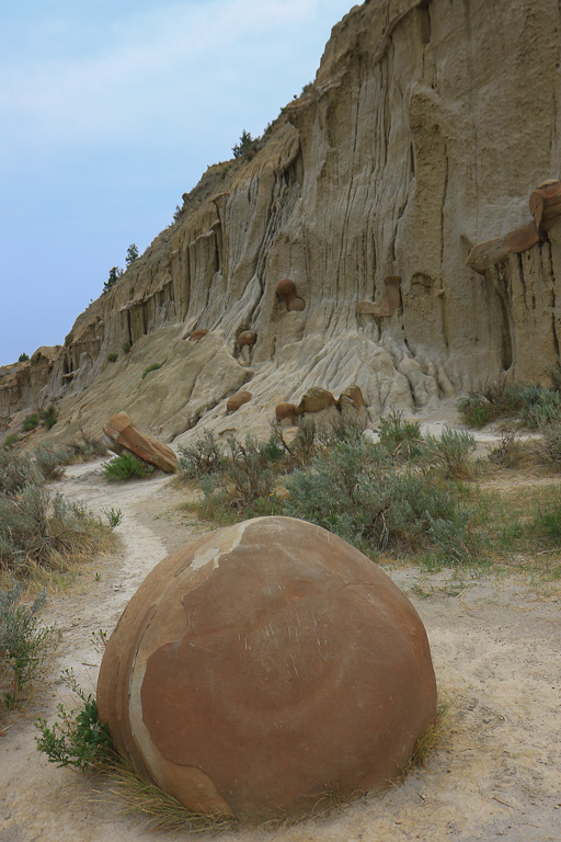 Cannonball at Buckorn Trailhead - Cannonball Concretions