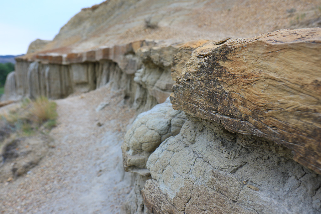 Caprock - Cannonball Concretions