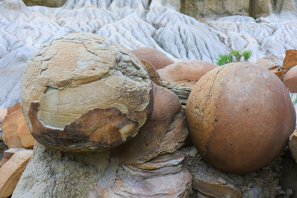 Cannonballs - Cannonball Concretions