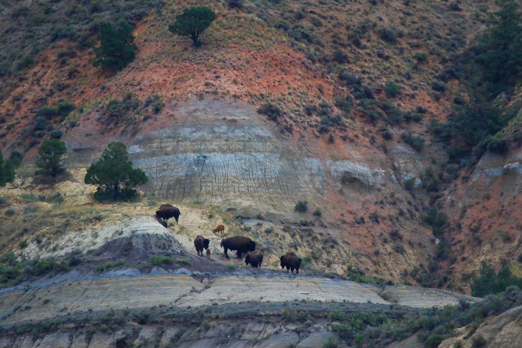 Buffalo Ridge - Cannonball Concretions