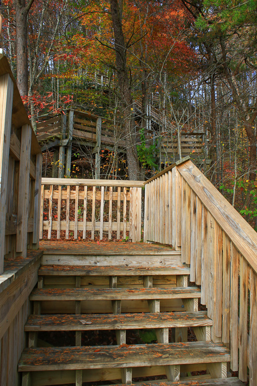 The boardwalk - Canyon Rim Boardwalk