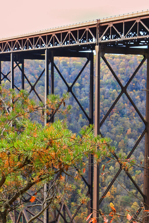 Bridge support - Canyon Rim Boardwalk