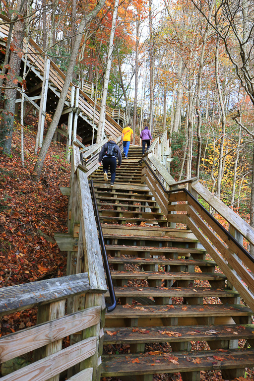 Climbing the 178 steps - Canyon Rim Boardwalk