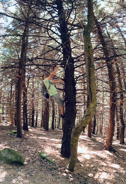 Cam having a climb - Carvers Gap