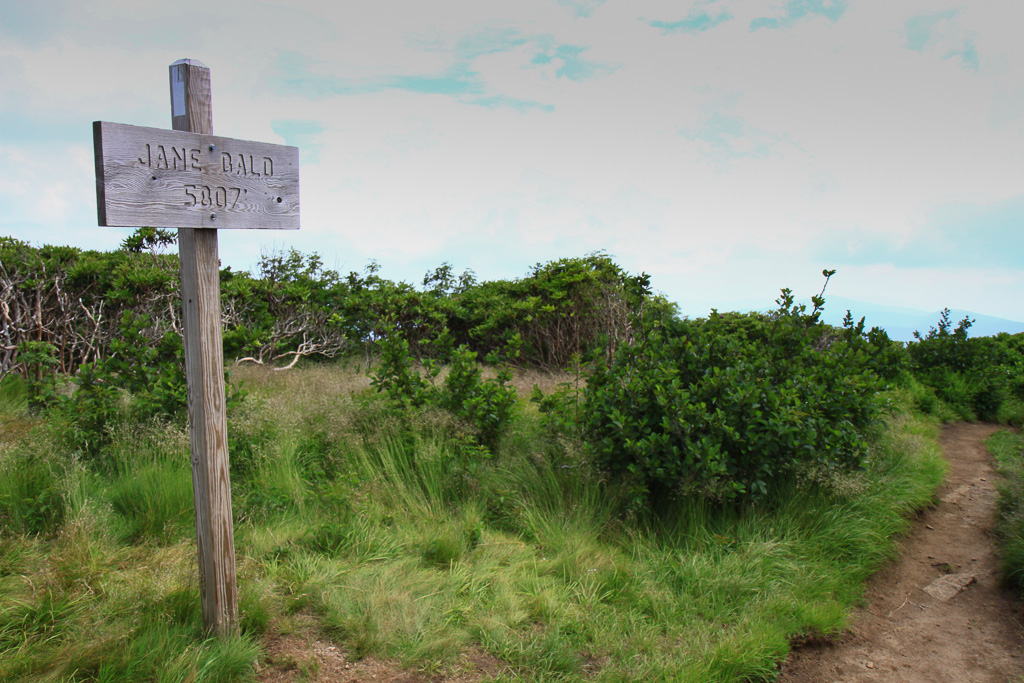 Jane Bald (5,807ft) - Carvers Gap