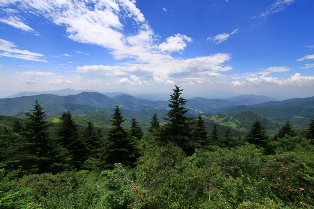 View from Grassy Ridge Bald - Carvers Gap