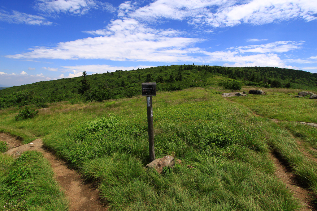 AT/Grassy Ridge junction - Carvers Gap