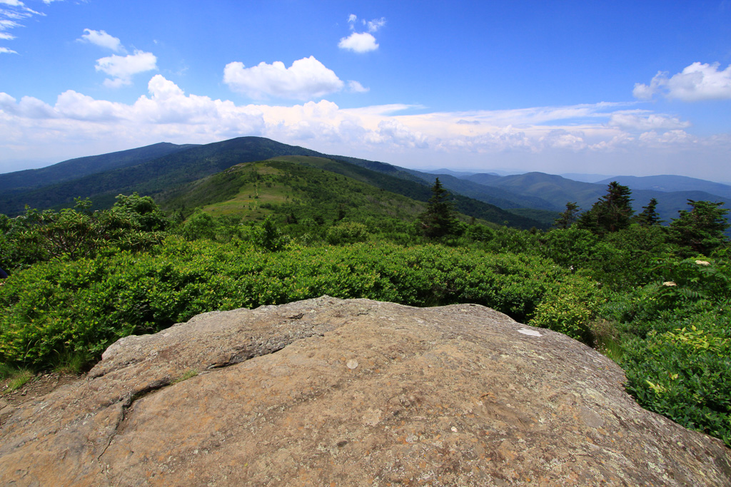 View from near Jane Bald - Carvers Gap, NC